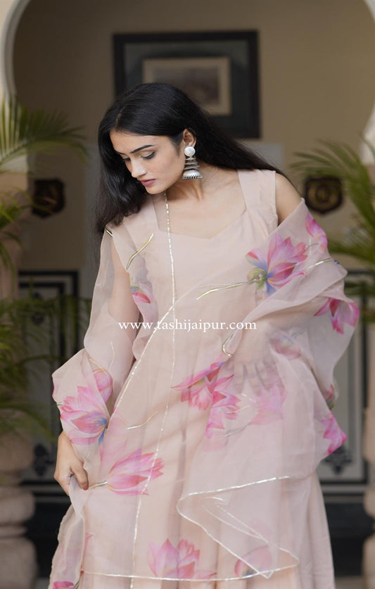 LOTUS BEIGE ORGANZA SUIT SET