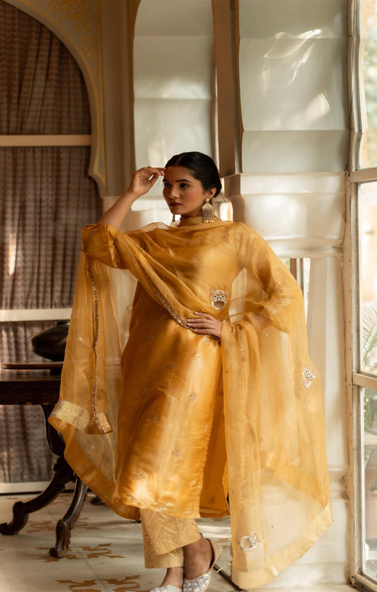 Golden Owl Tissue Suit Set
