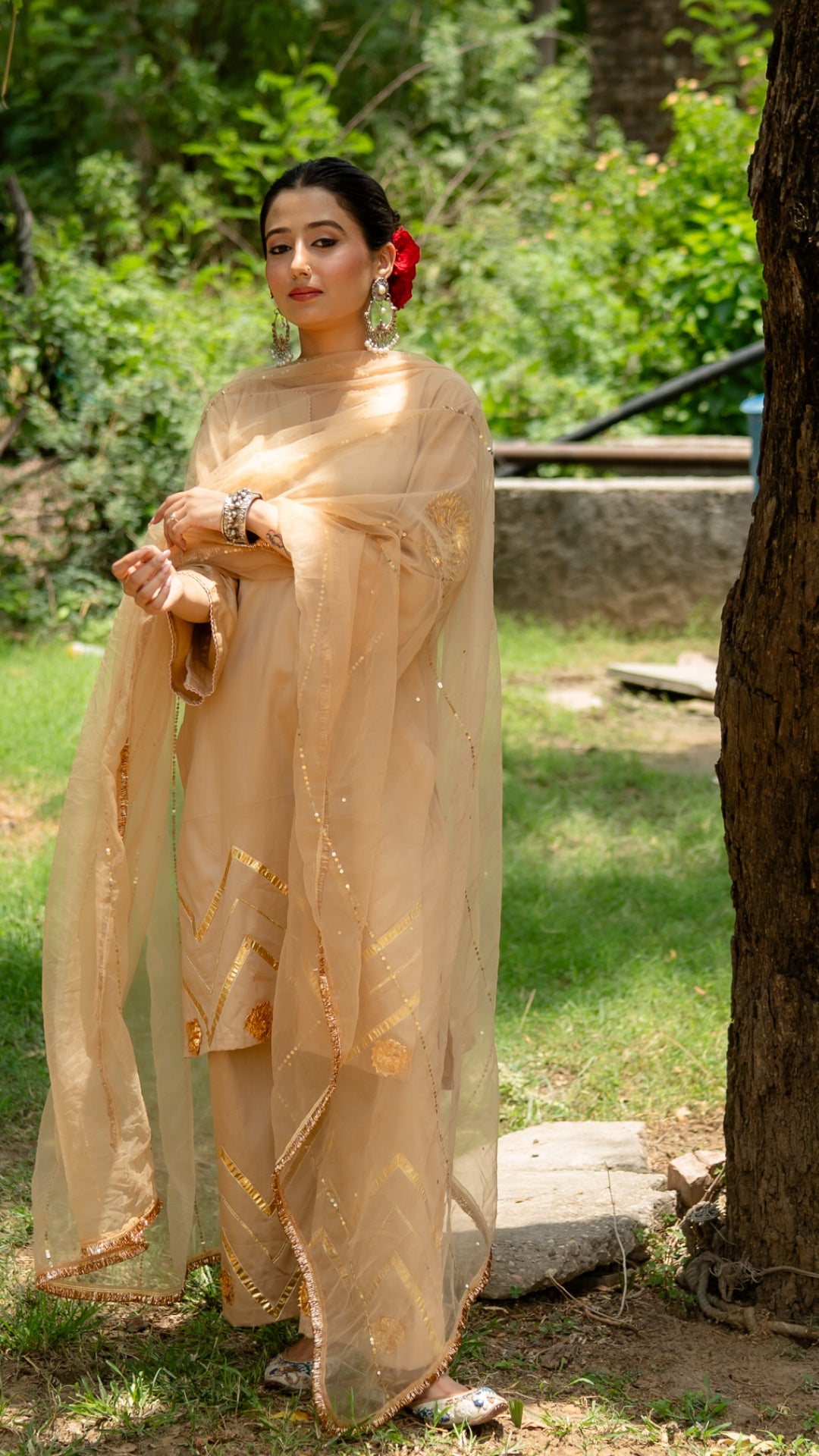 Mohini Beige Suit Set