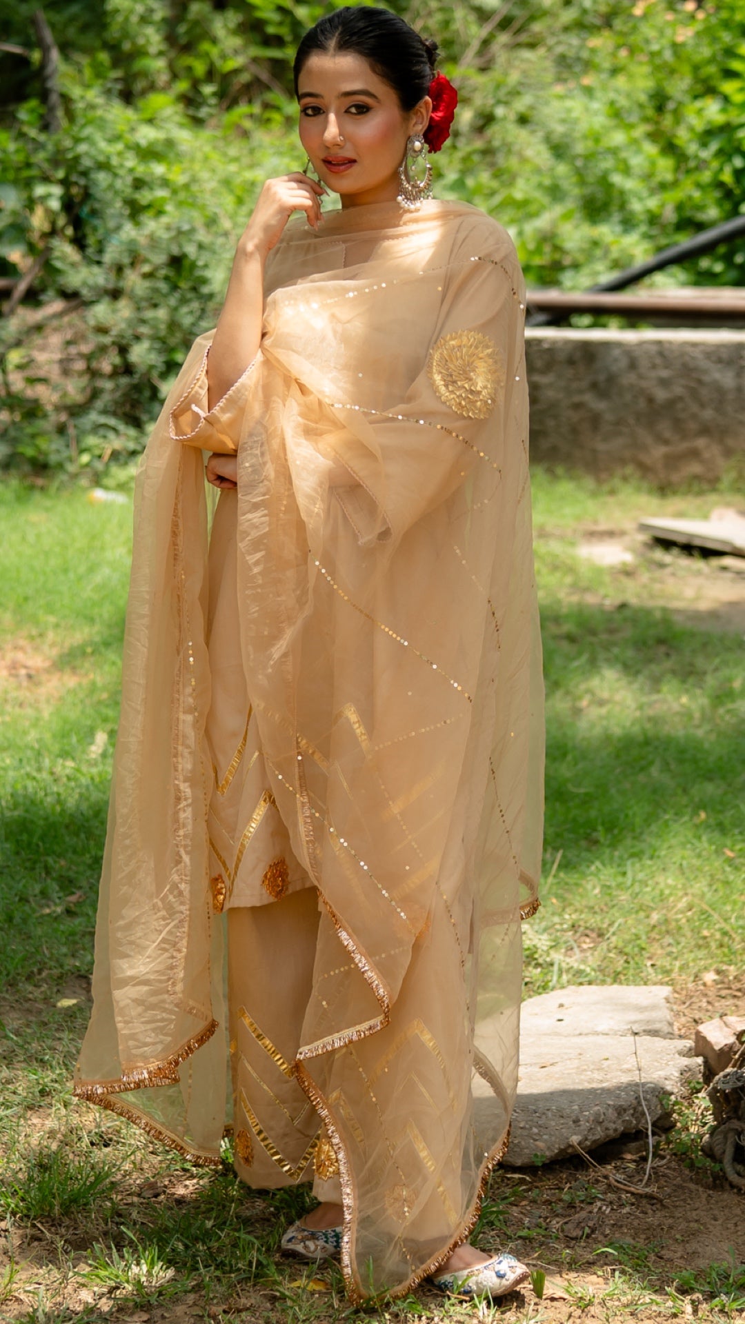 Mohini Beige Suit Set