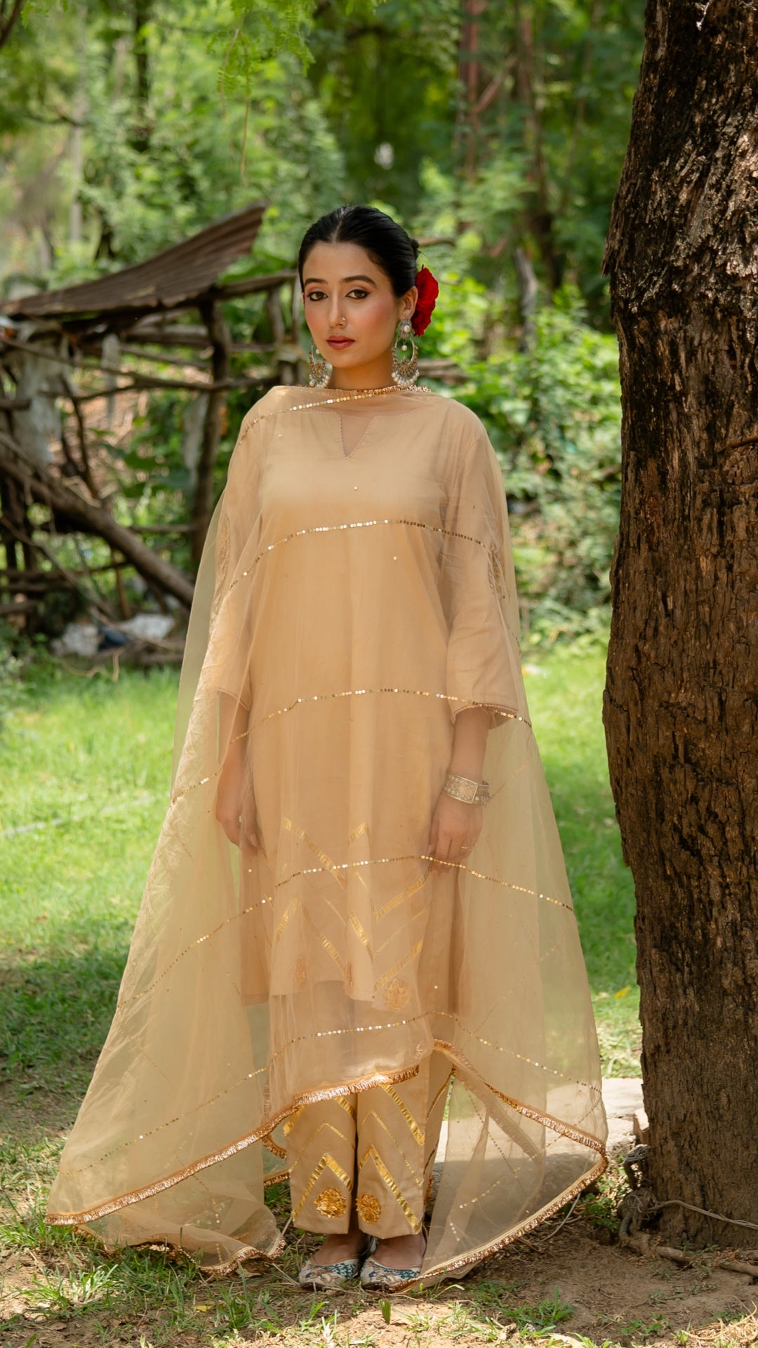 Mohini Beige Suit Set